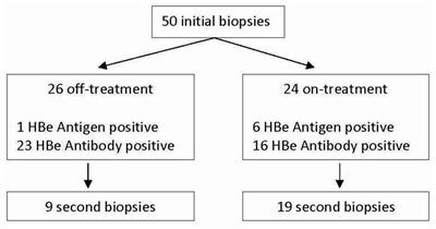 Distinct histological patterns in chronic hepatitis D with nucleos(t)ide analogue therapy